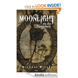 moonlight Moonlight on the Nantahala by Micheal Rivers