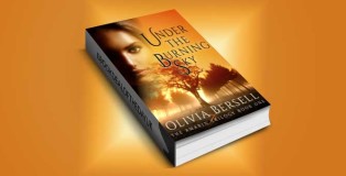 romance ebook "Under The Burning Sky (The Amarin Trilogy Book 1)" by Olivia Bersell