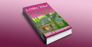 timetravel romance kindle book "A Chill Wind (A Cowgirls in Time Romance Book 1)" by Erica Einhorn