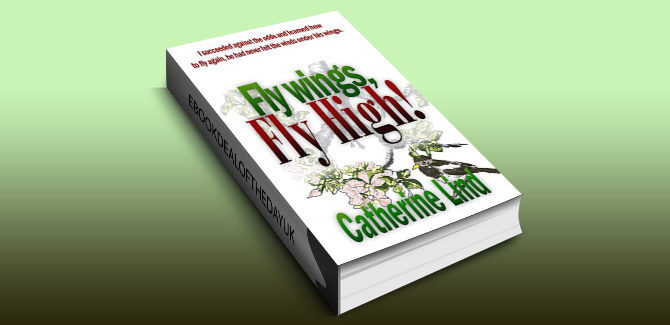 biographical fiction ebook Fly wings, Fly High! by Catherine Lind