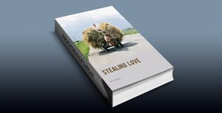 Stealing Love: A humorous Romantic Novel by H. Schreter