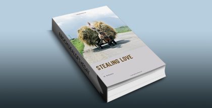 Stealing Love: A humorous Romantic Novel by H. Schreter