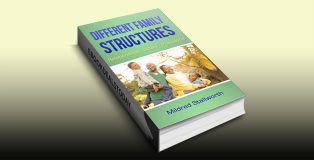 Different Family Structures: Relationships- Issues - Provisions by Mildred Stallworth