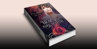 Tracy the Fire Witch by P. G. Allison