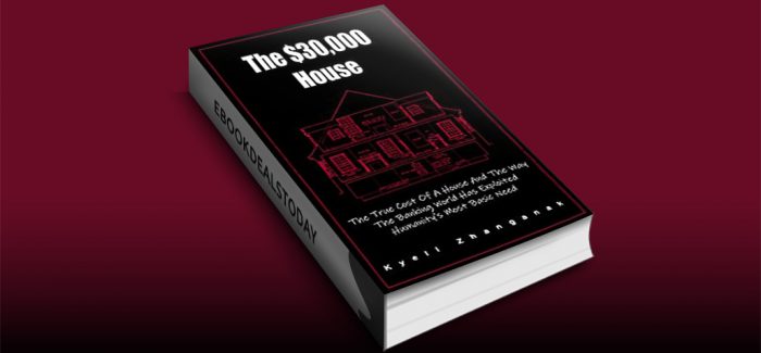 The $30,000 House by Kyell Zhanganak