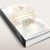 Demystifying Enlightenment by Dennis Macy